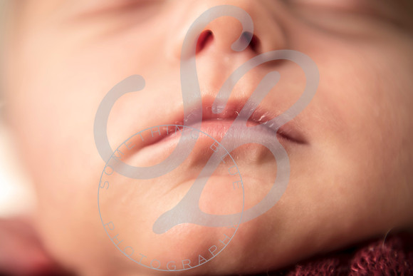 Sadie - Newborn_101321_0226