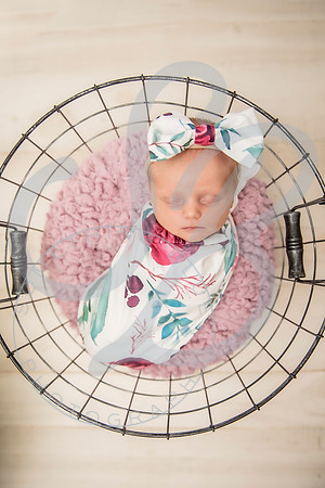 Sadie - Newborn_101321_0194