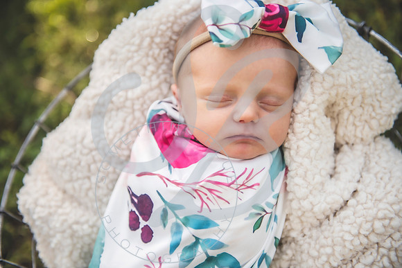 Sadie - Newborn_101321_0183