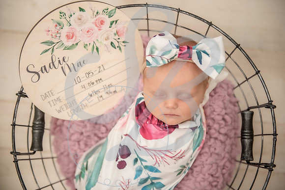 Sadie - Newborn_101321_0192