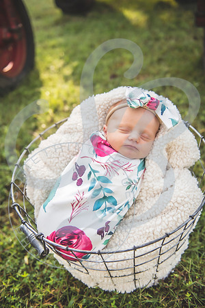 Sadie - Newborn_101321_0177
