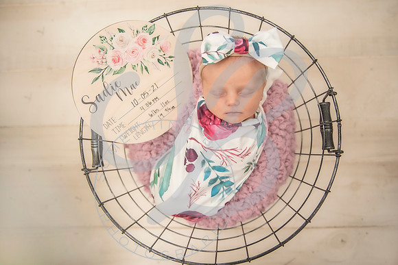Sadie - Newborn_101321_0185