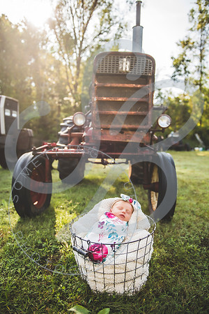 Sadie - Newborn_101321_0173