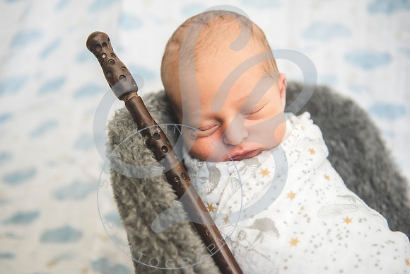 August - Newborn_101521_0295