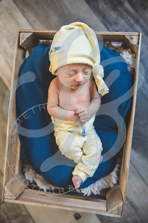 August - Newborn_101521_0306
