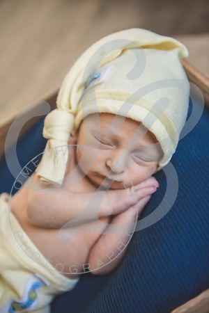 August - Newborn_101521_0332