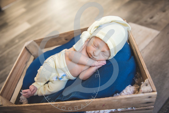 August - Newborn_101521_0334