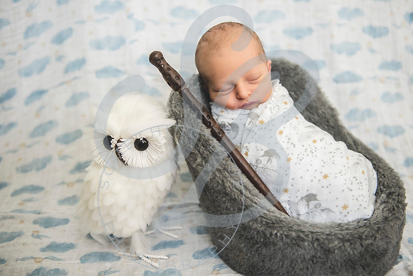 August - Newborn_101521_0283