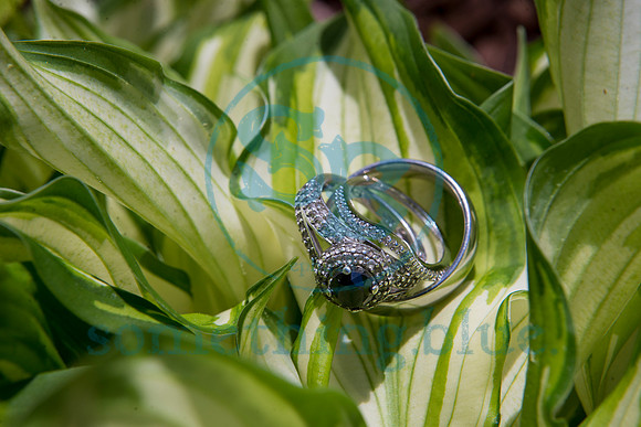 Christy & Troy - Wedding_042019_0049