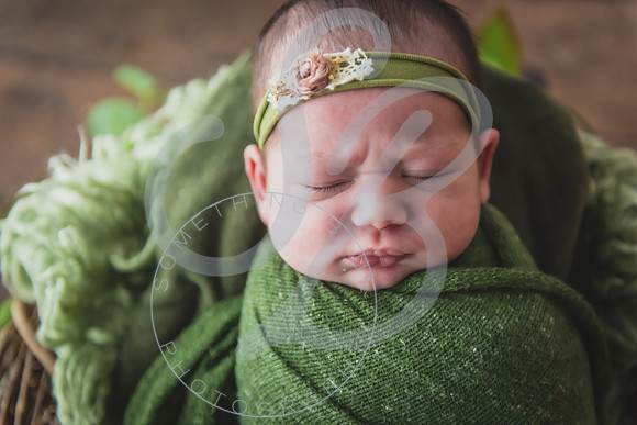 Myla - Newborn_010724_0013