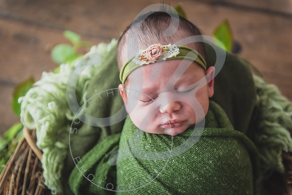 Myla - Newborn_010724_0008