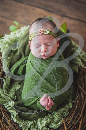 Myla - Newborn_010724_0007