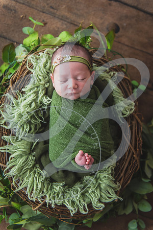 Myla - Newborn_010724_0034