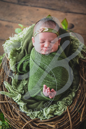 Myla - Newborn_010724_0020