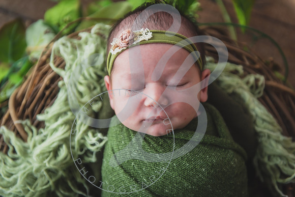 Myla - Newborn_010724_0041