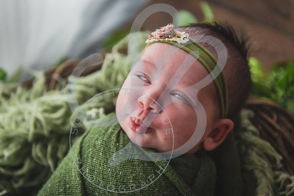 Myla - Newborn_010724_0068
