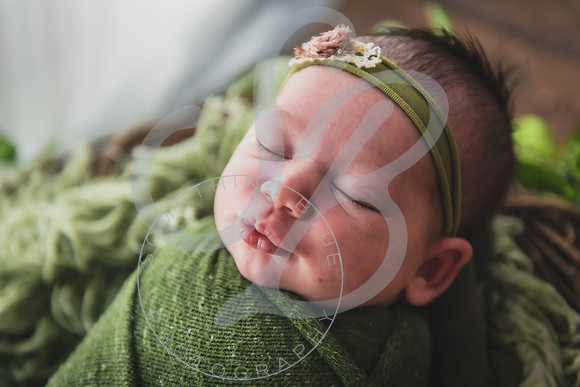 Myla - Newborn_010724_0072