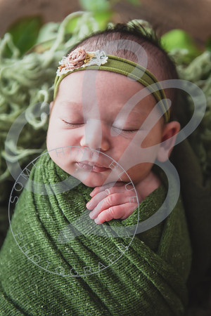 Myla - Newborn_010724_0094