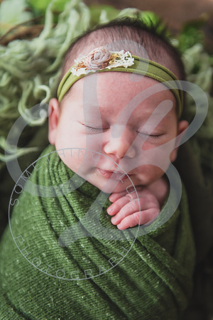 Myla - Newborn_010724_0104