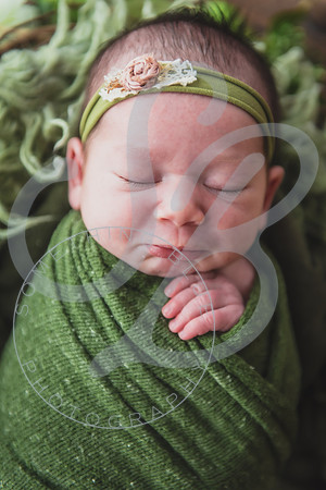 Myla - Newborn_010724_0105