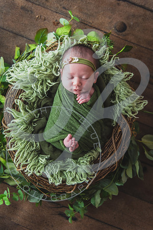 Myla - Newborn_010724_0110