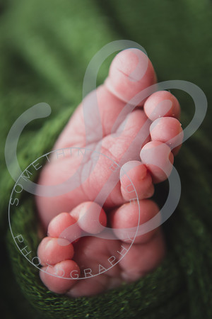 Myla - Newborn_010724_0143