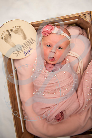 Savanna - Newborn_101621_0333