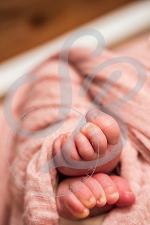 Savanna - Newborn_101621_0362