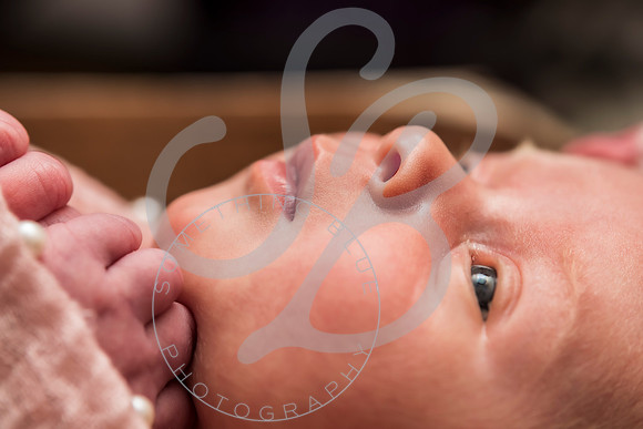 Savanna - Newborn_101621_0370
