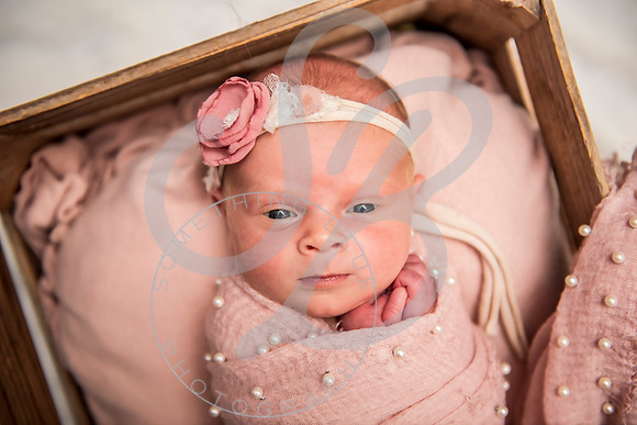 Savanna - Newborn_101621_0351