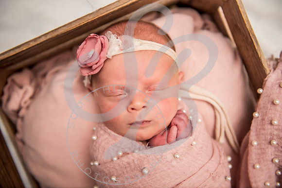 Savanna - Newborn_101621_0354