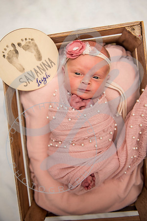 Savanna - Newborn_101621_0338