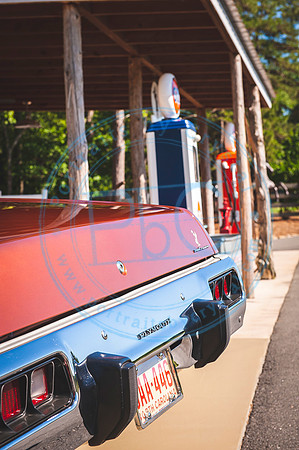 Charles' RoadRunner_061119_0074