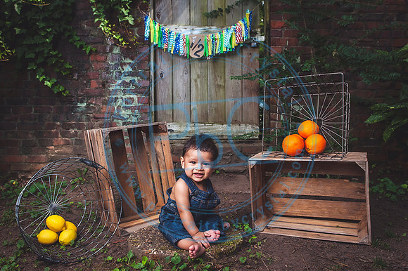 Adriel - 6 Months_080219_0014