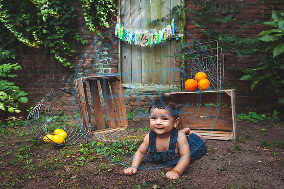 Adriel - 6 Months_080219_0083