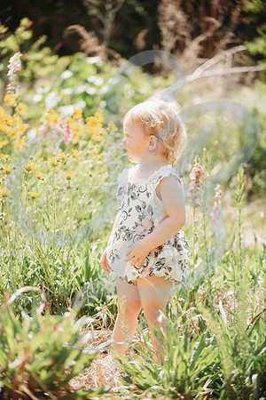 Molly - Mom Mini_051224_0374