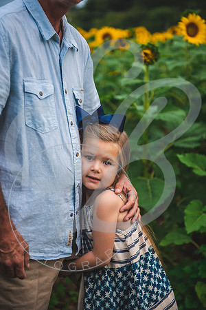 Sunflower Minis - Massie_082021_0171