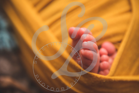 Jr - Newborn_102721_0135