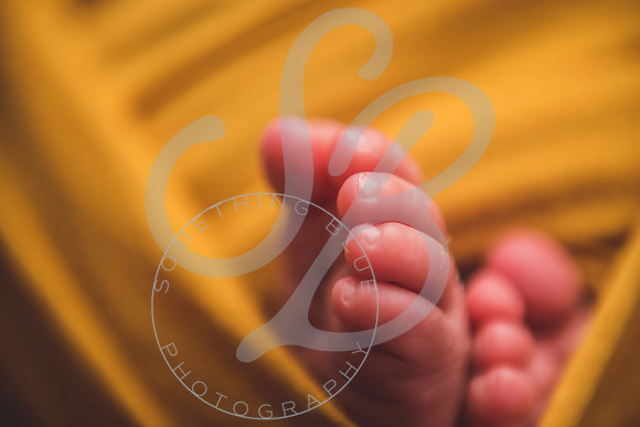 Jr - Newborn_102721_0133