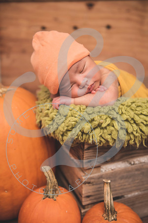 Jr - Newborn_102721_0112