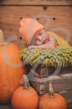 Jr - Newborn_102721_0110