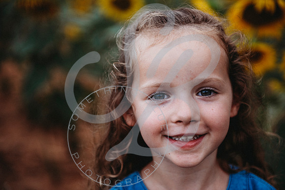 Sunflower Minis - Sherri_071422_0136