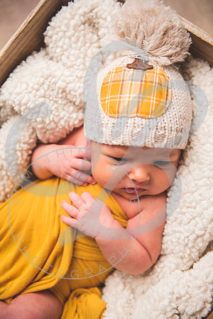 Harper - Newborn_102921_0144