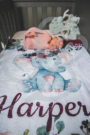 Harper - Newborn_102921_0088