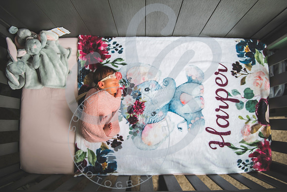 Harper - Newborn_102921_0101