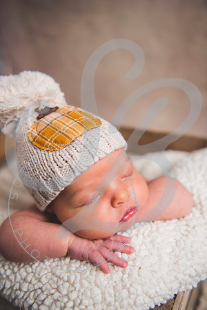 Harper - Newborn_102921_0119