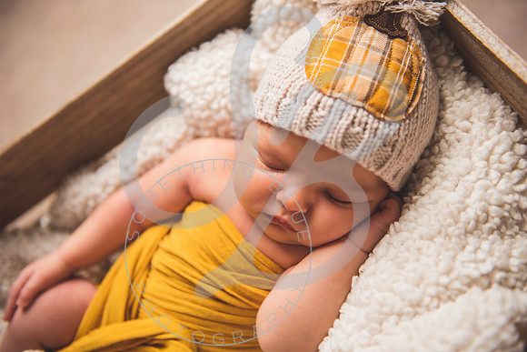 Harper - Newborn_102921_0126