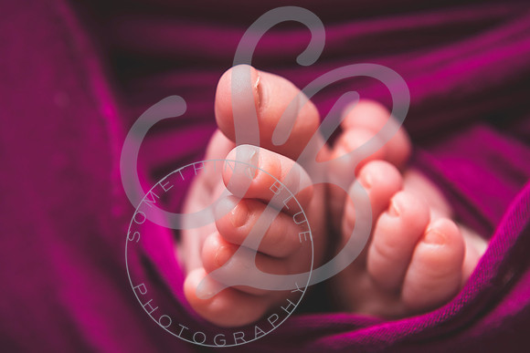 Harper - Newborn_102921_0159