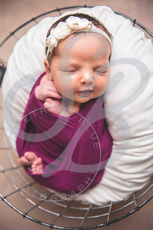 Harper - Newborn_102921_0168