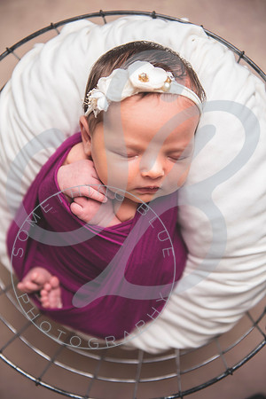 Harper - Newborn_102921_0180